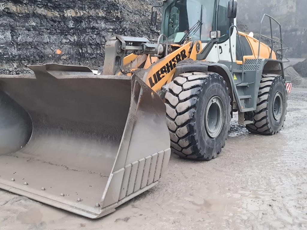 Wheel loaders Liebherr Liebherr L 576